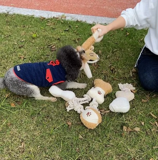 Rena 애완견 봉제 인형 씹는 삐걱거리는 대화형 놀이 부드러운 폴리 인형